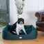 Armarkat Bolstered Dog Bed, Anti-Slip Pet Bed, Laurel Green - Your Pet Connection