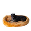 Armarkat Bolstered Pet Bed and Mat, ultra-soft Dog Bed S/M/L - Your Pet Connection