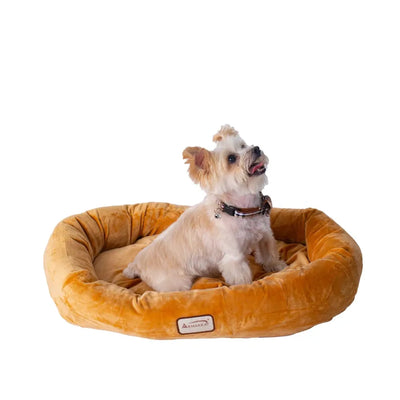 Armarkat Bolstered Pet Bed and Mat, ultra-soft Dog Bed S/M/L - Your Pet Connection