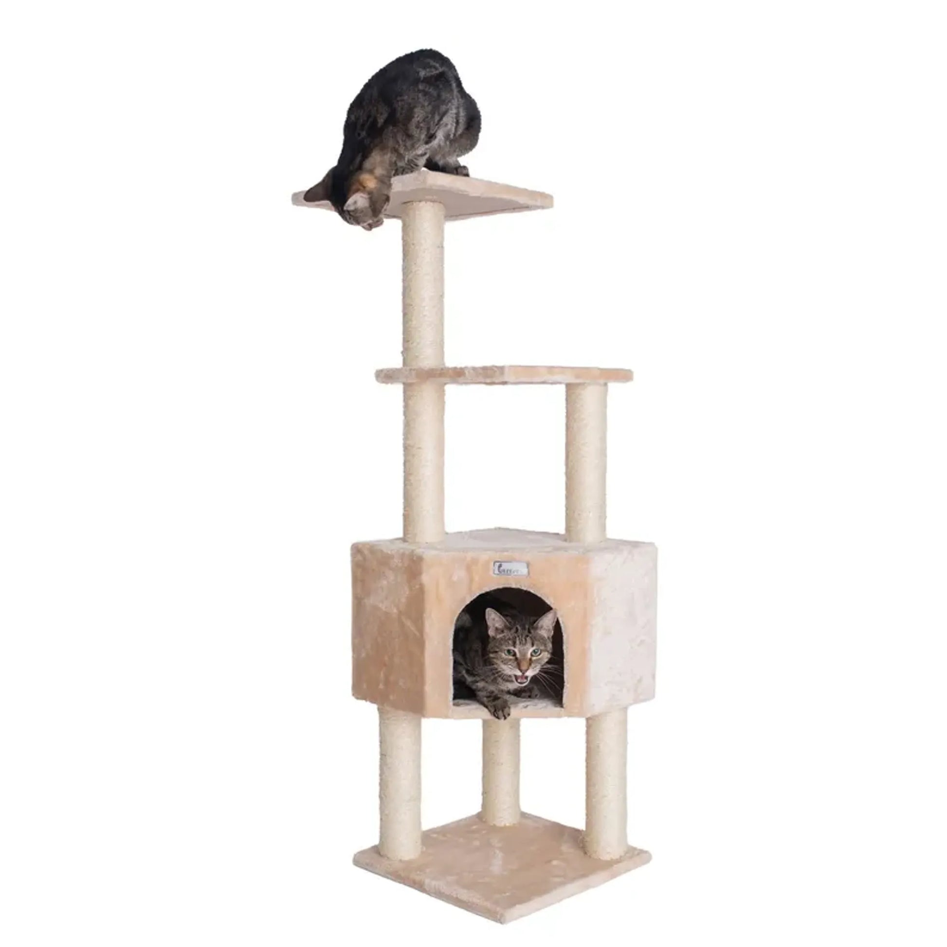 GleePet 48-Inch Cat Tree Real Wood Cat Perches Bge - Your Pet Connection
