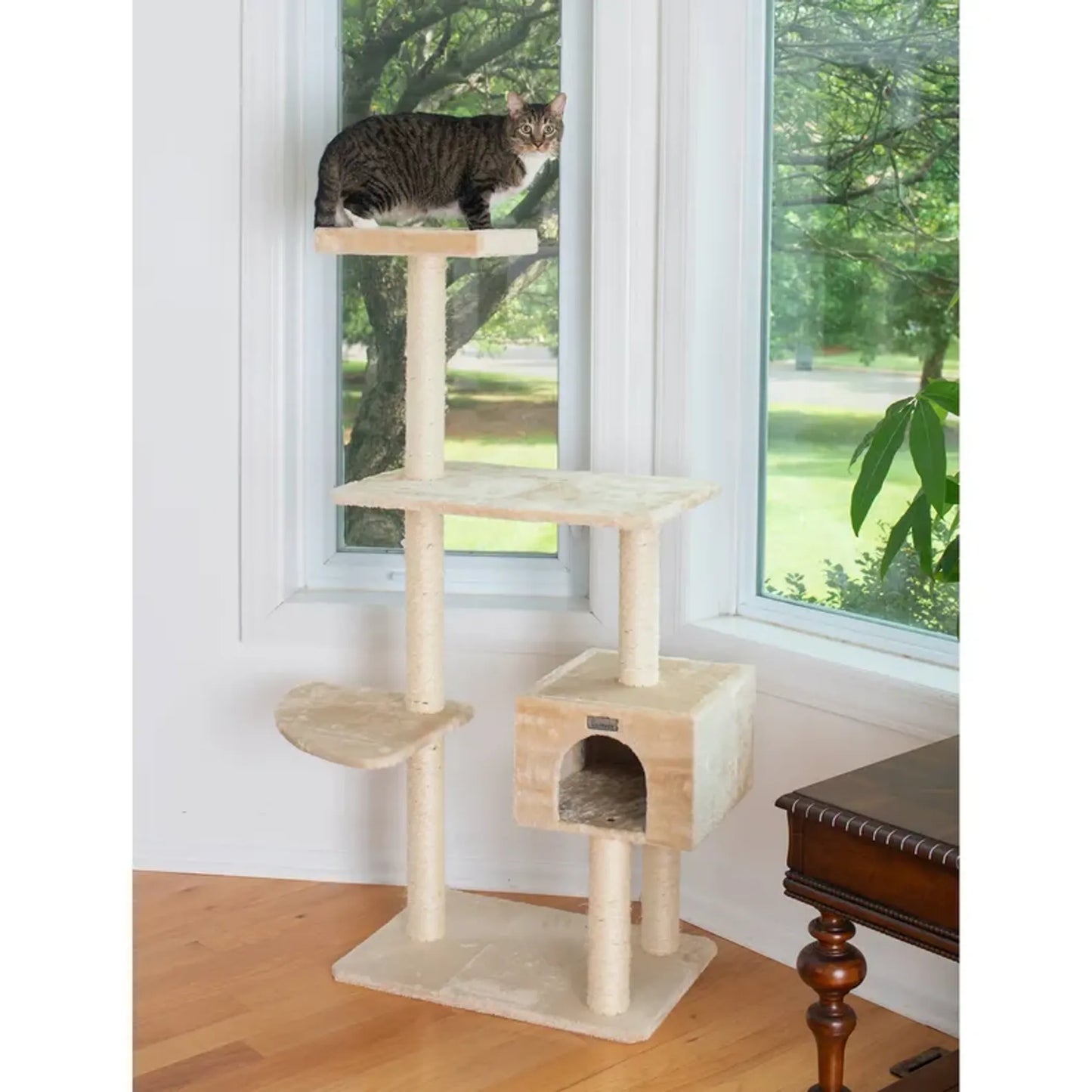 GleePet 57-Inch Cat Tree  Real Wood Cat Perches Bge - Your Pet Connection