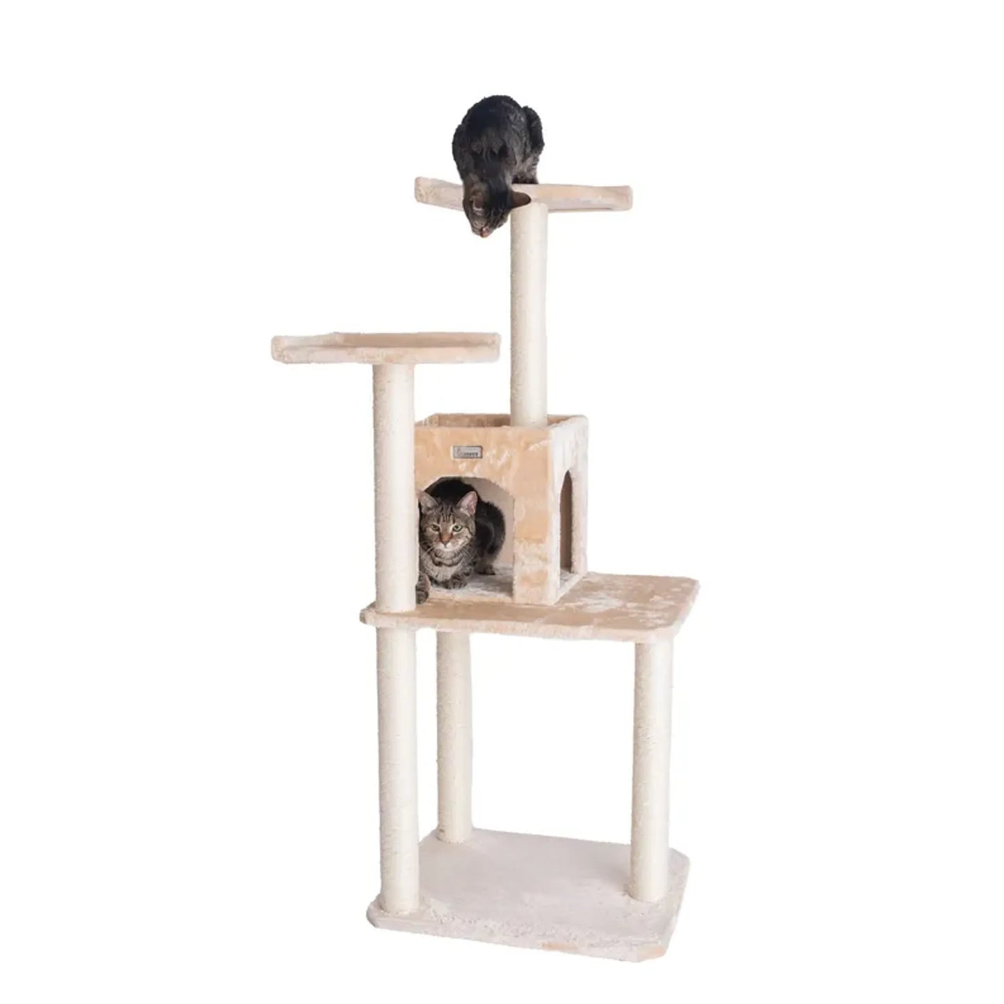 GleePet 57-Inch Height Cat Tree Two-Door Real Wood Condo Bge - Your Pet Connection