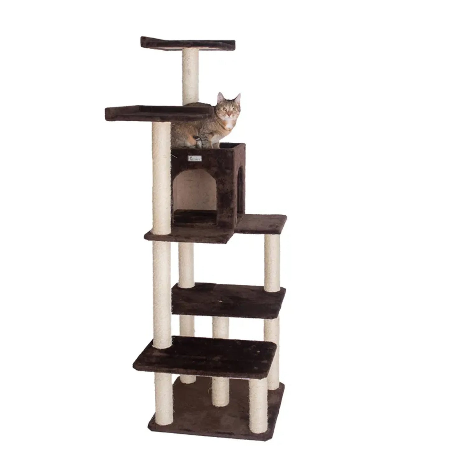 GleePet 66-Inch Cat Tree Real Wood Cat Climber W 4 Levels - Your Pet Connection