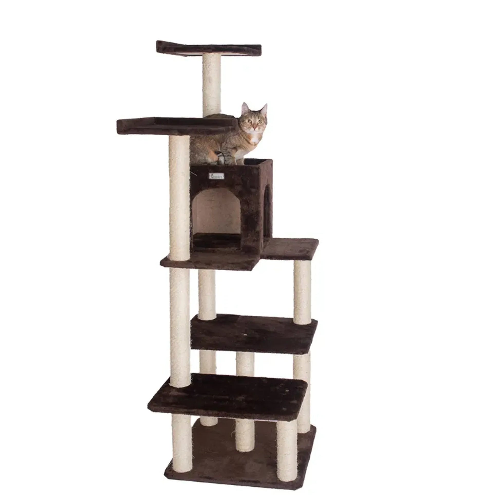 GleePet 66-Inch Cat Tree Real Wood Cat Climber W 4 Levels - Your Pet Connection