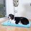 Armarkat Pet Bed Mat, Dog Crate Soft Pad W Poly Fill Cushion - Your Pet Connection