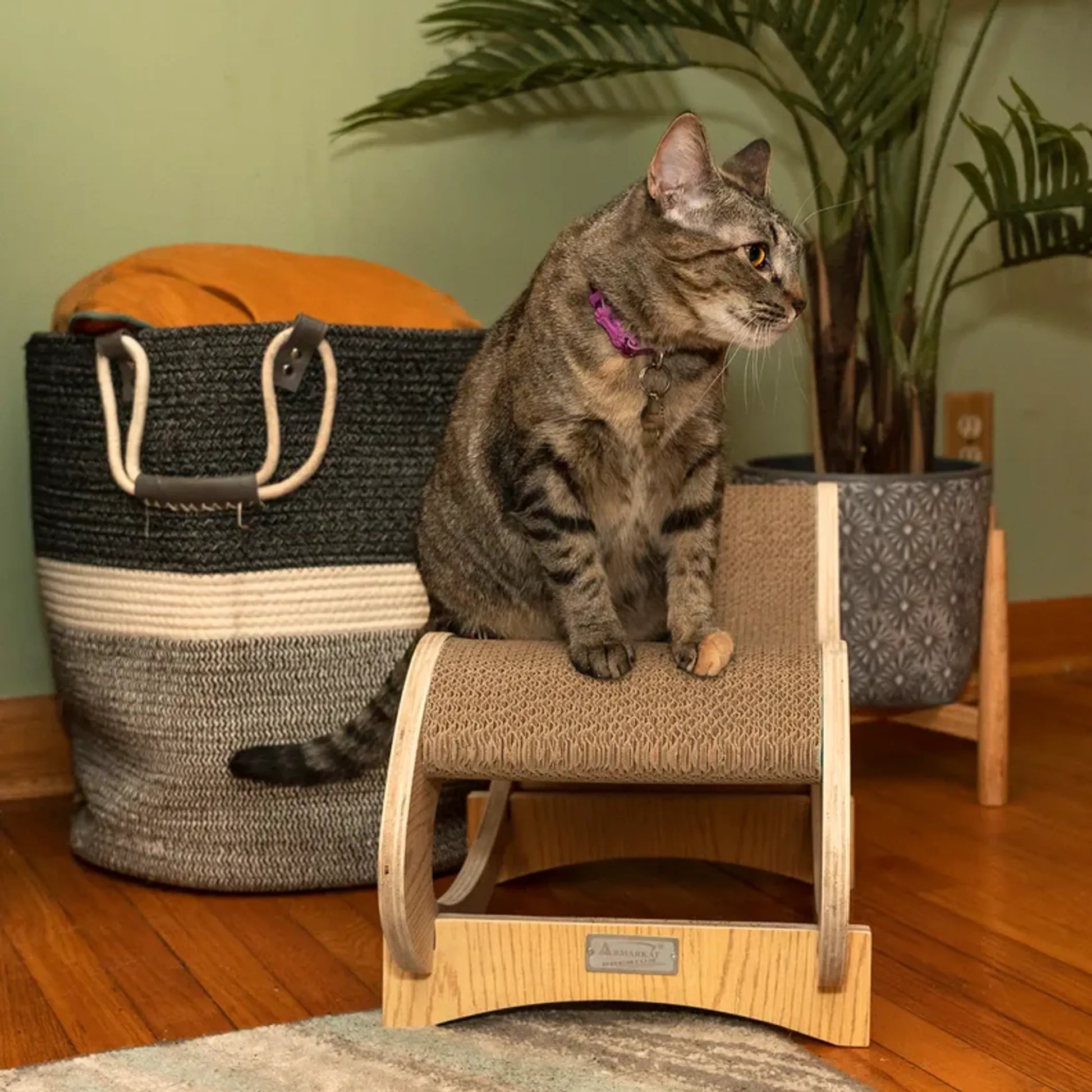 Medium Cat Rocking Chair, Detachable Cat Swing Chair S1302 - Your Pet Connection