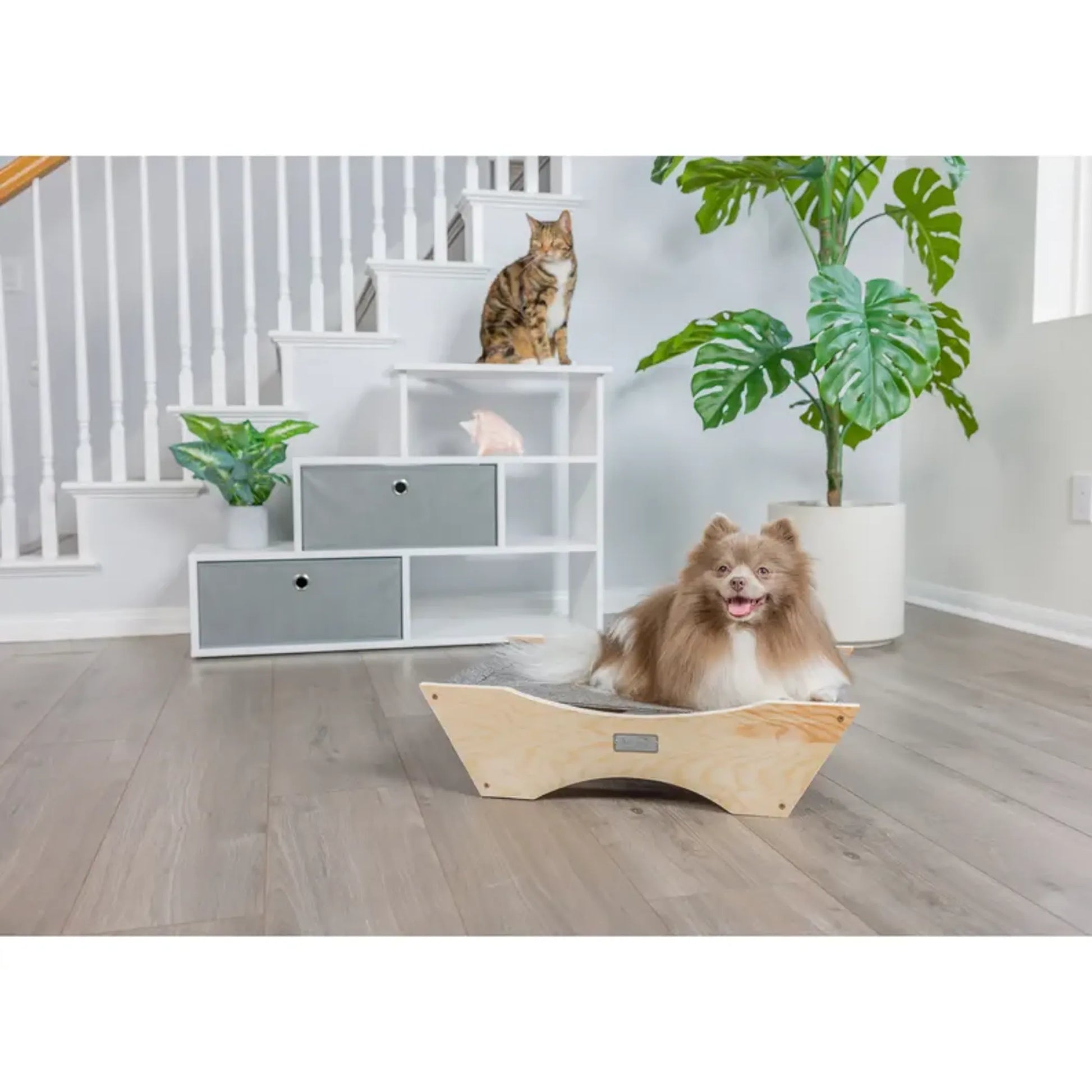 Armarkat Elevated Cozy Pet Hammock,Resting Sleepy Bed S2205 - Your Pet Connection