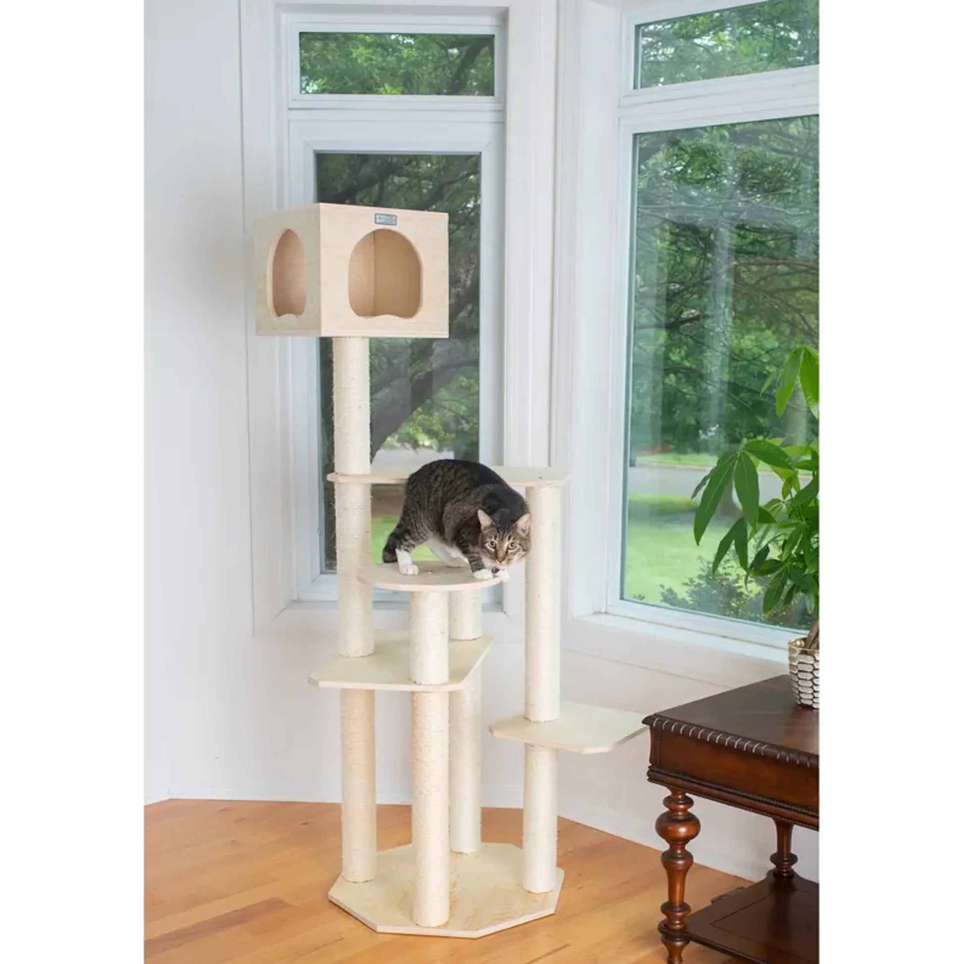 Armarkat Premium Scots Pine 69-Inch Cat Tree W Five Levels - Your Pet Connection