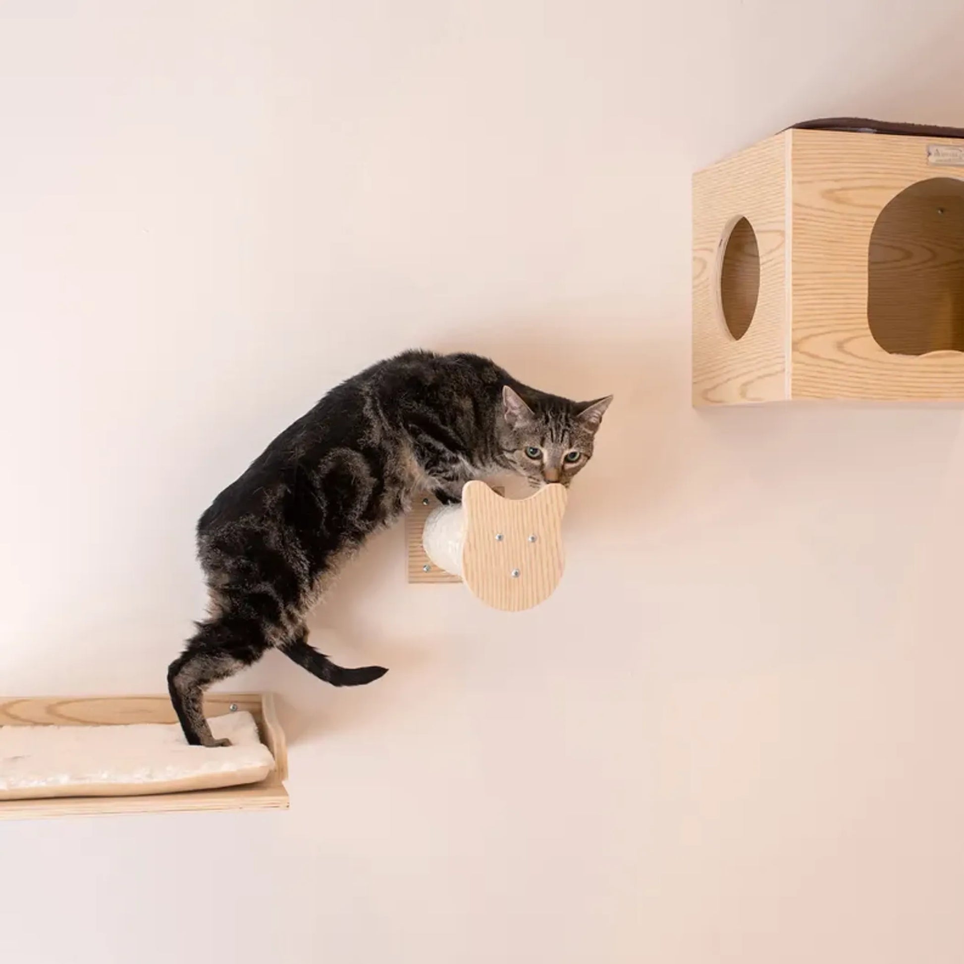 Armarkat Wall Series: Tree W1907A With Condo, Perch And Step - Your Pet Connection