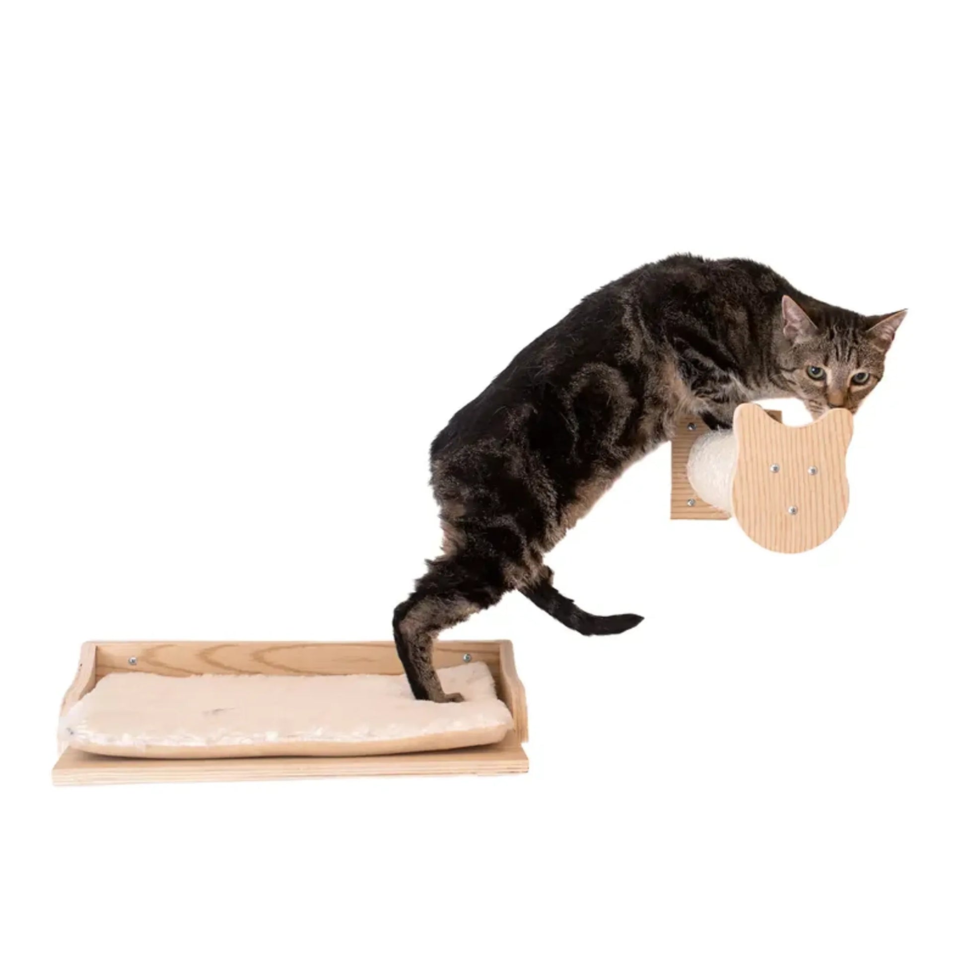 Armarkat Wall Series: Tree W1907A With Condo, Perch And Step - Your Pet Connection