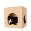 Armarkat Wall Series: Tree W1907A With Condo, Perch And Step - Your Pet Connection