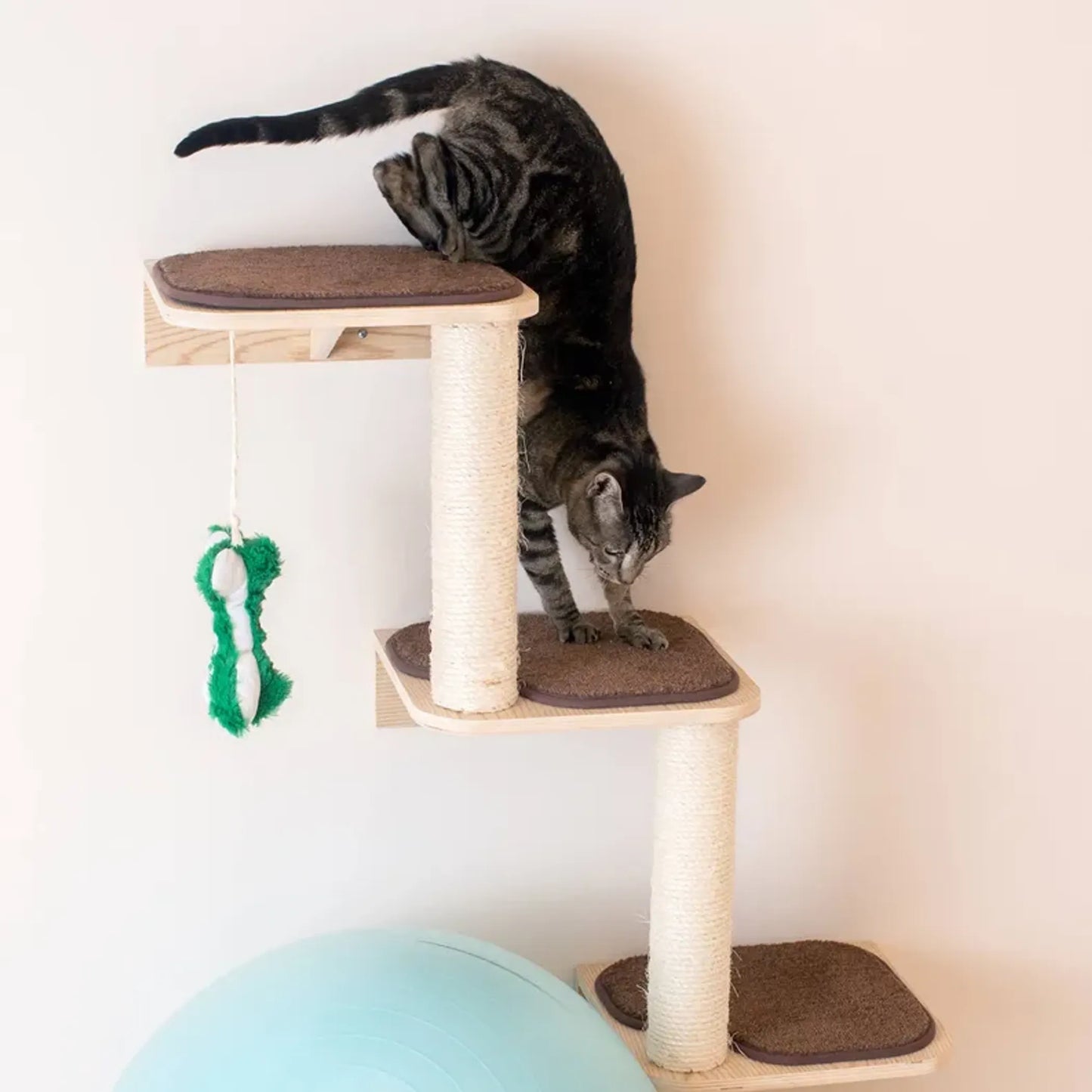 Armarkat Wall Series: Cat Steps W1907C - Your Pet Connection