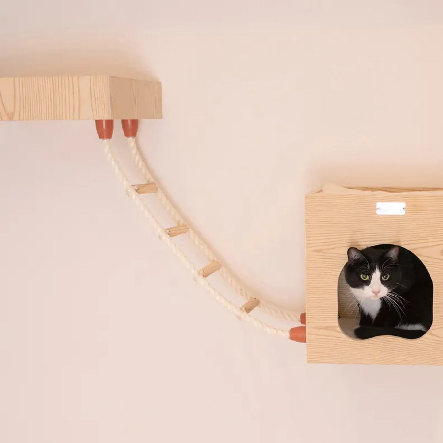 Armarkat Wall Series: Soft Ladder W1907E - Your Pet Connection