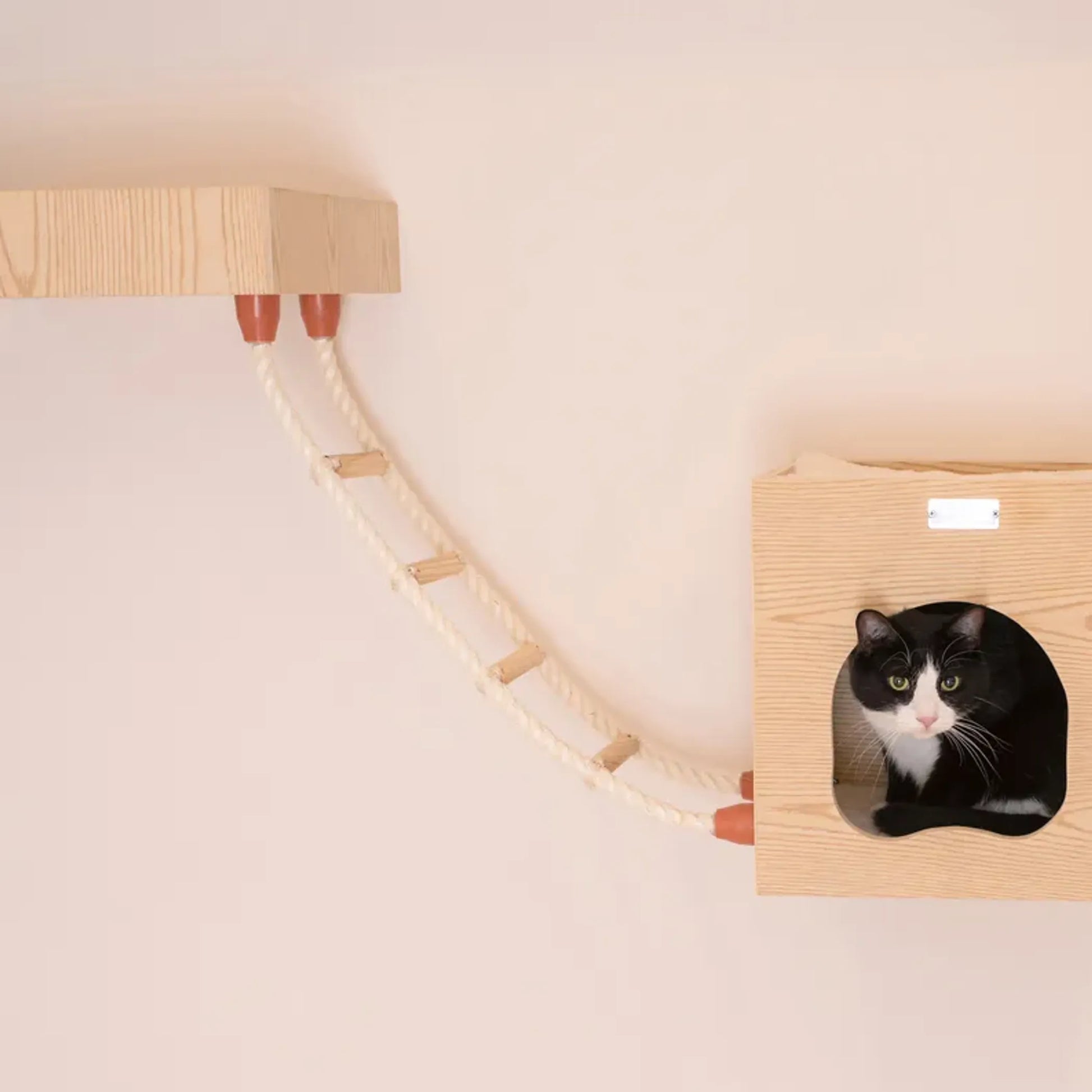 Armarkat Wall Series: Soft Ladder W1907E - Your Pet Connection