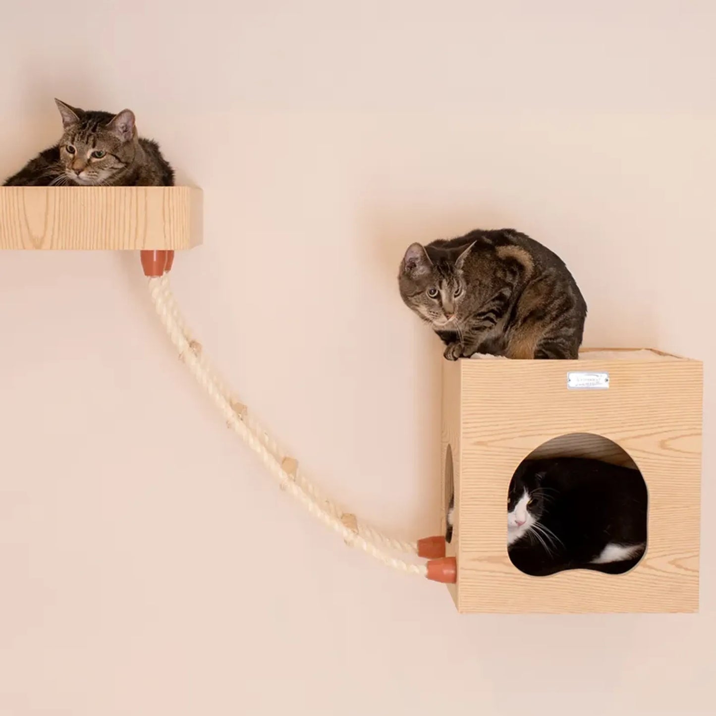 Armarkat Wall Series: Soft Ladder W1907E - Your Pet Connection