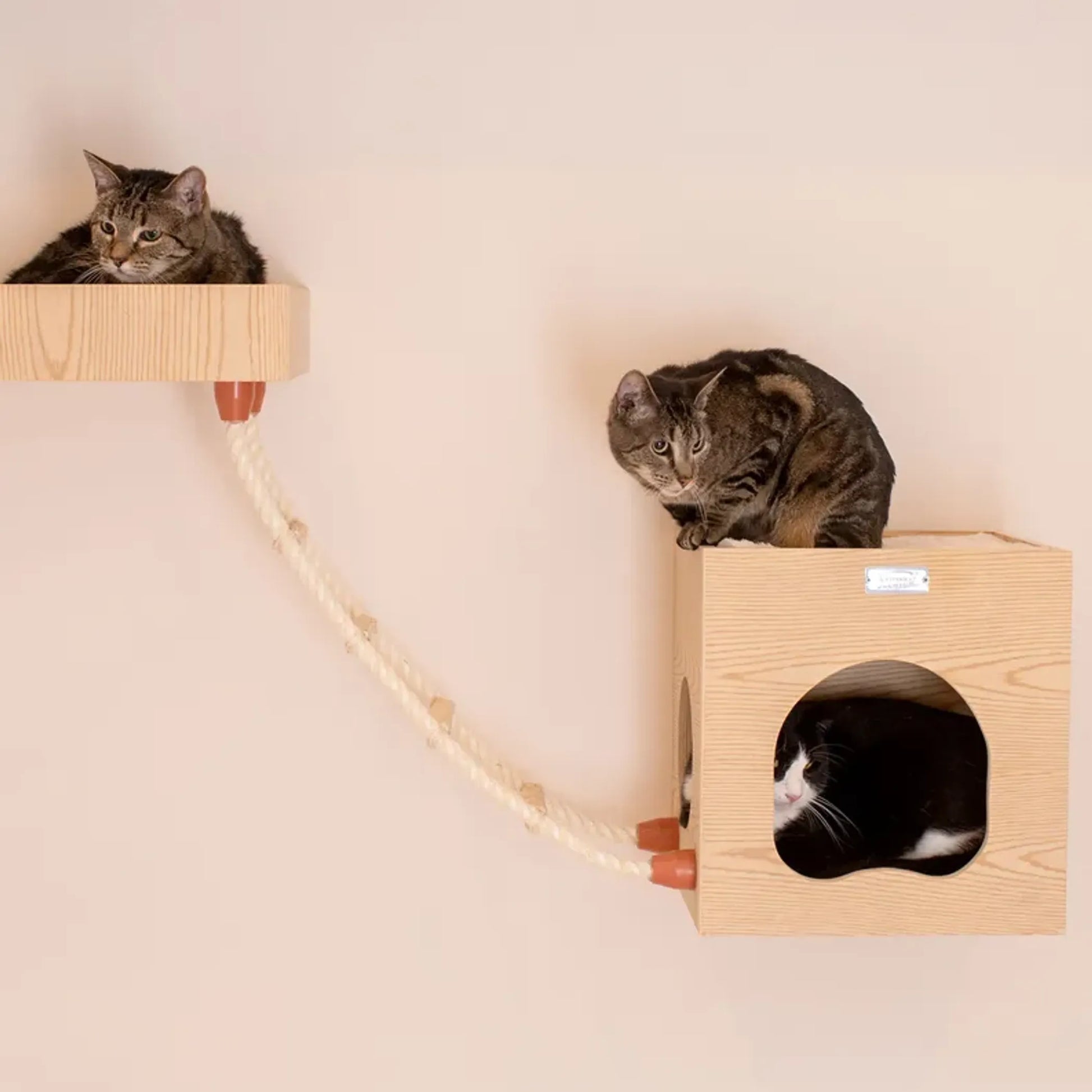 Armarkat Wall Series: Soft Ladder W1907E - Your Pet Connection