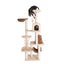 Armarkat Cat Climber Play House, 78" Real Wood Cat furniture - Your Pet Connection