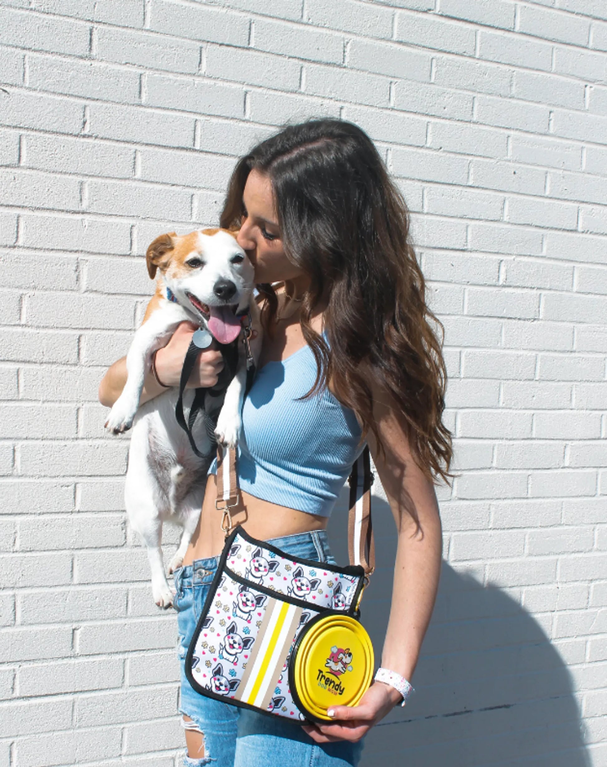 Corgi-licious Dog Walking Bag - Your Pet Connection