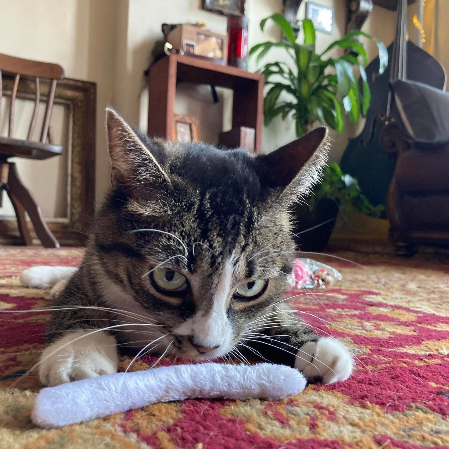 Smokey's Stash Whimsical Catnip Joints - 4.5 Inch