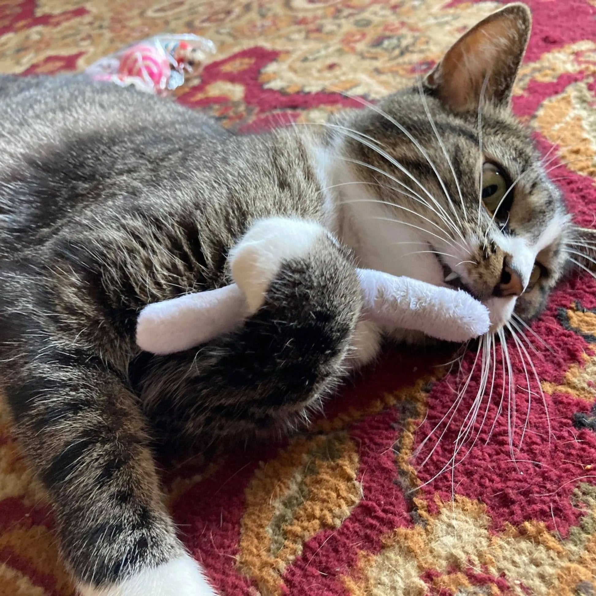 Smokey's Stash Catnip Pre Rolled Joints - Your Pet Connection