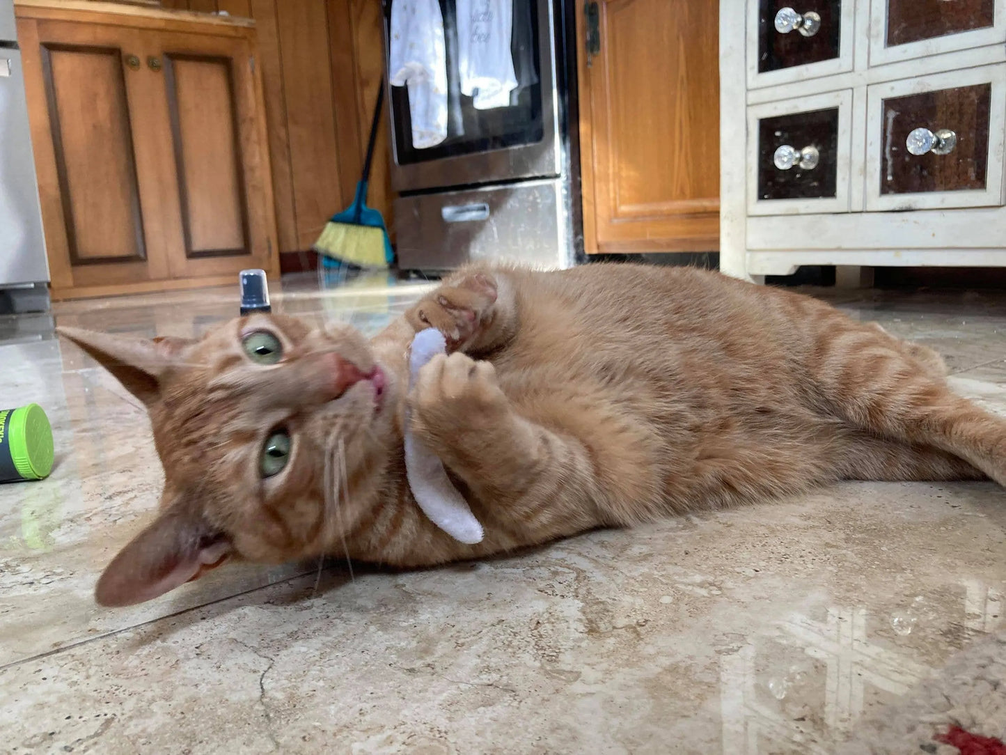 Smokey's Stash Catnip Pre Rolled Joints - Your Pet Connection