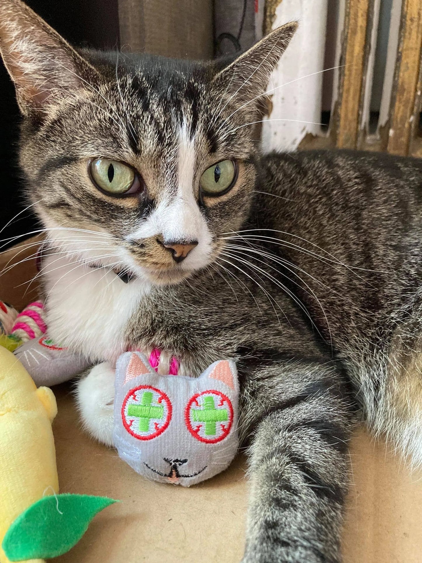 Smokey's Stash Catnip Toys and Sisal Mouse - Your Pet Connection