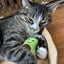 Smokey's Stash Catnip Toys-Avocado, Banana & Sisal Rope Toys - Your Pet Connection
