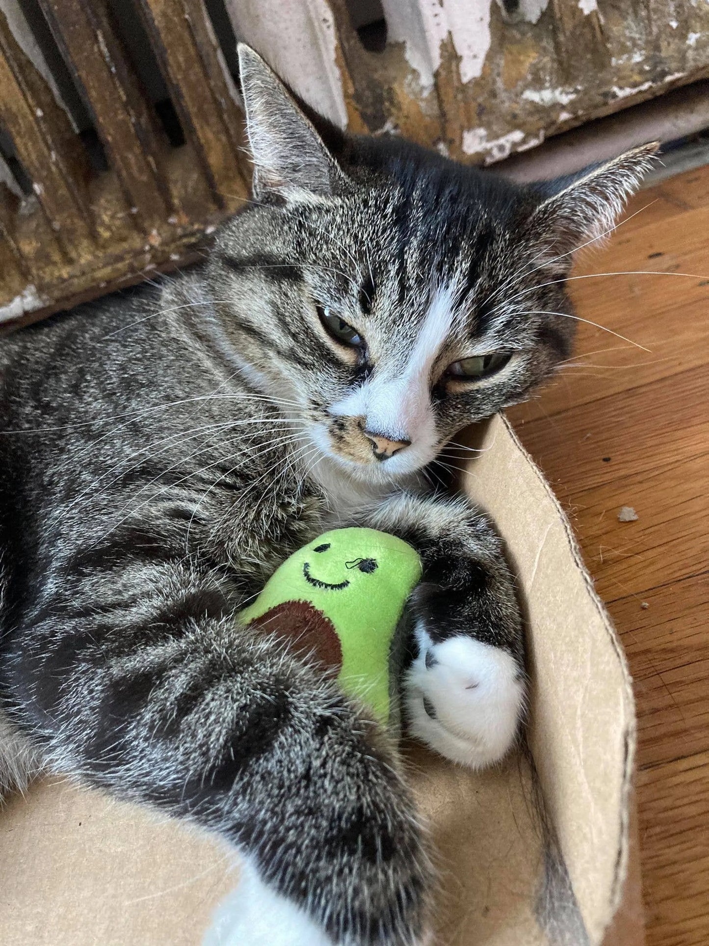 Smokey's Stash Interactive Cat Toys - Perfect Indoor Play