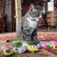 Smokey's Stash Catnip Toys-Avocado, Banana & Sisal Rope Toys