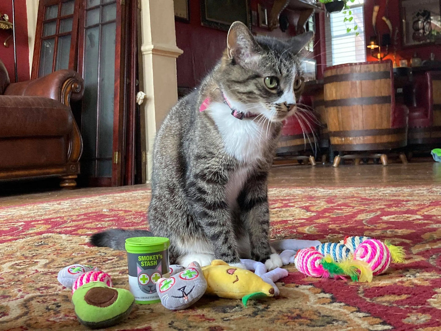 Smokey's Stash Interactive Cat Toys - Perfect Indoor Play