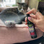 Smokey's Stash Catnip Combo Pack - Your Pet Connection