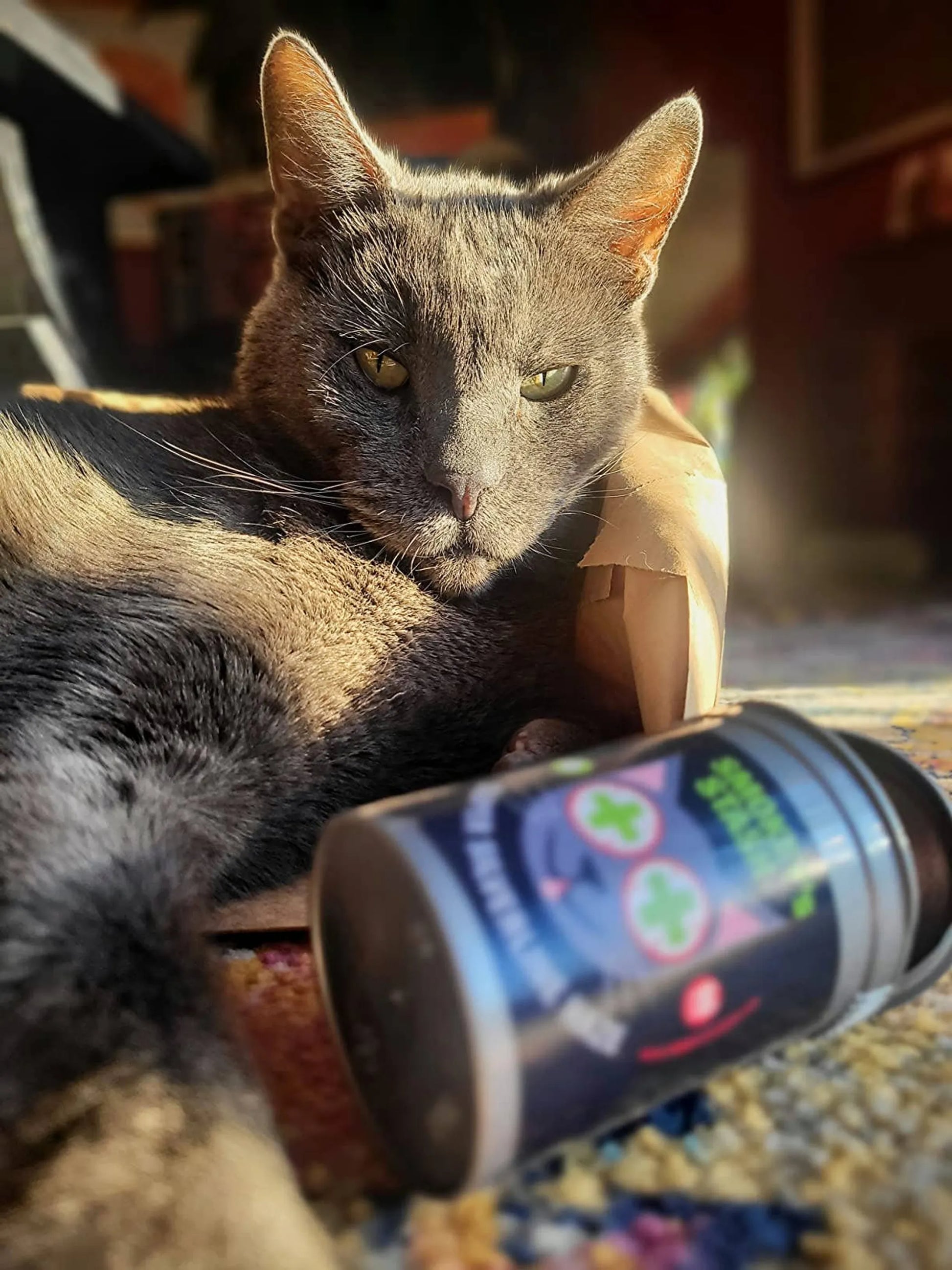 Smokey's Stash Silvervine Haze Potent Catnip and Silver Vine - Your Pet Connection