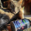 Smokey's Stash Silvervine Haze Potent Catnip and Silver Vine - Your Pet Connection