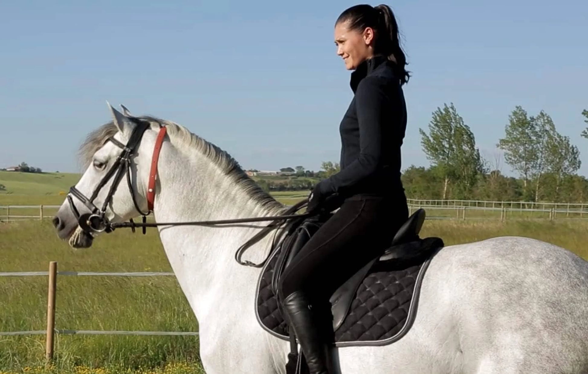 ALZOO Herbal Horse Collar - Your Pet Connection