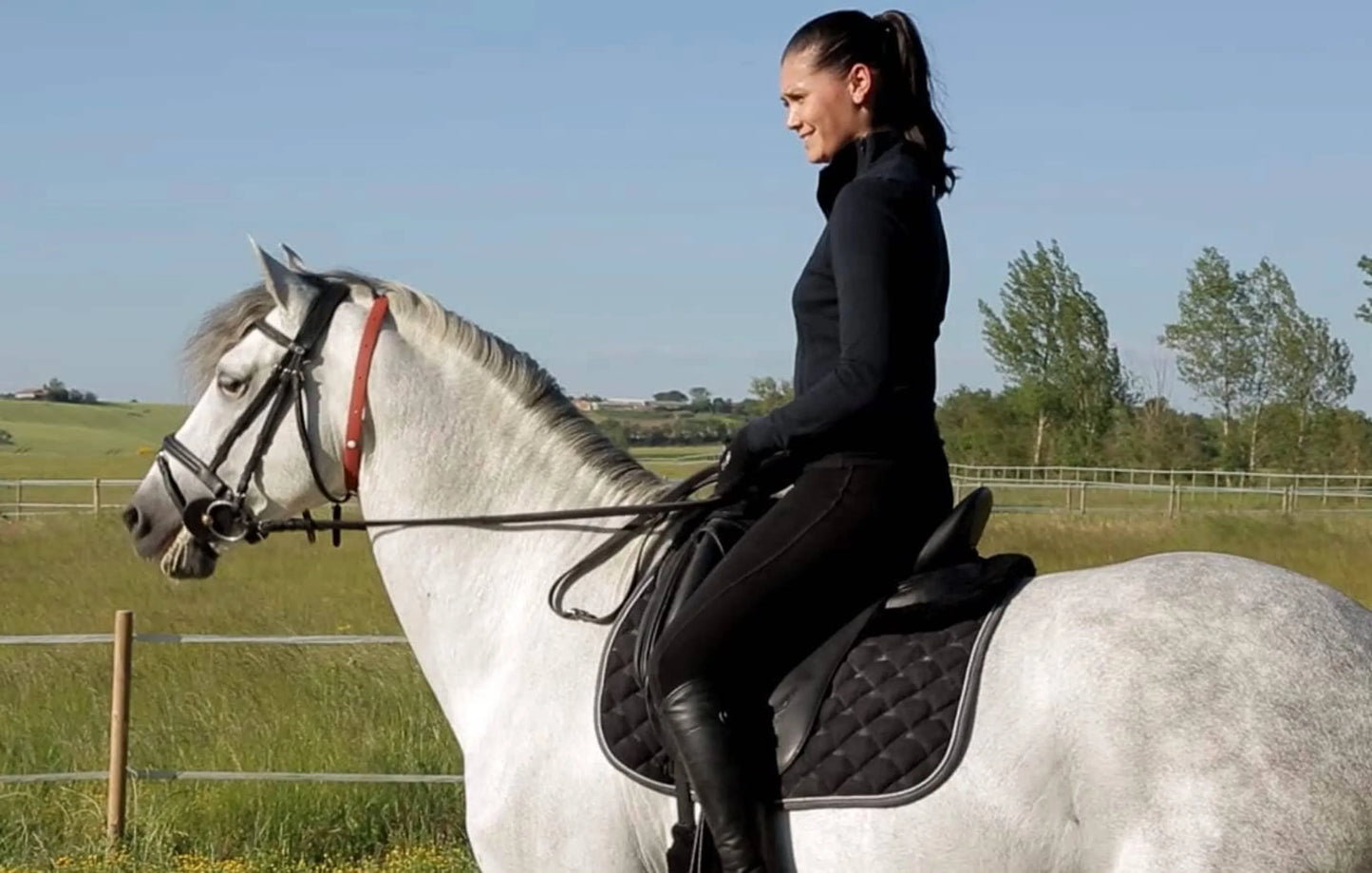 ALZOO Eco-Friendly Herbal Horse Collar - 41.73 inches