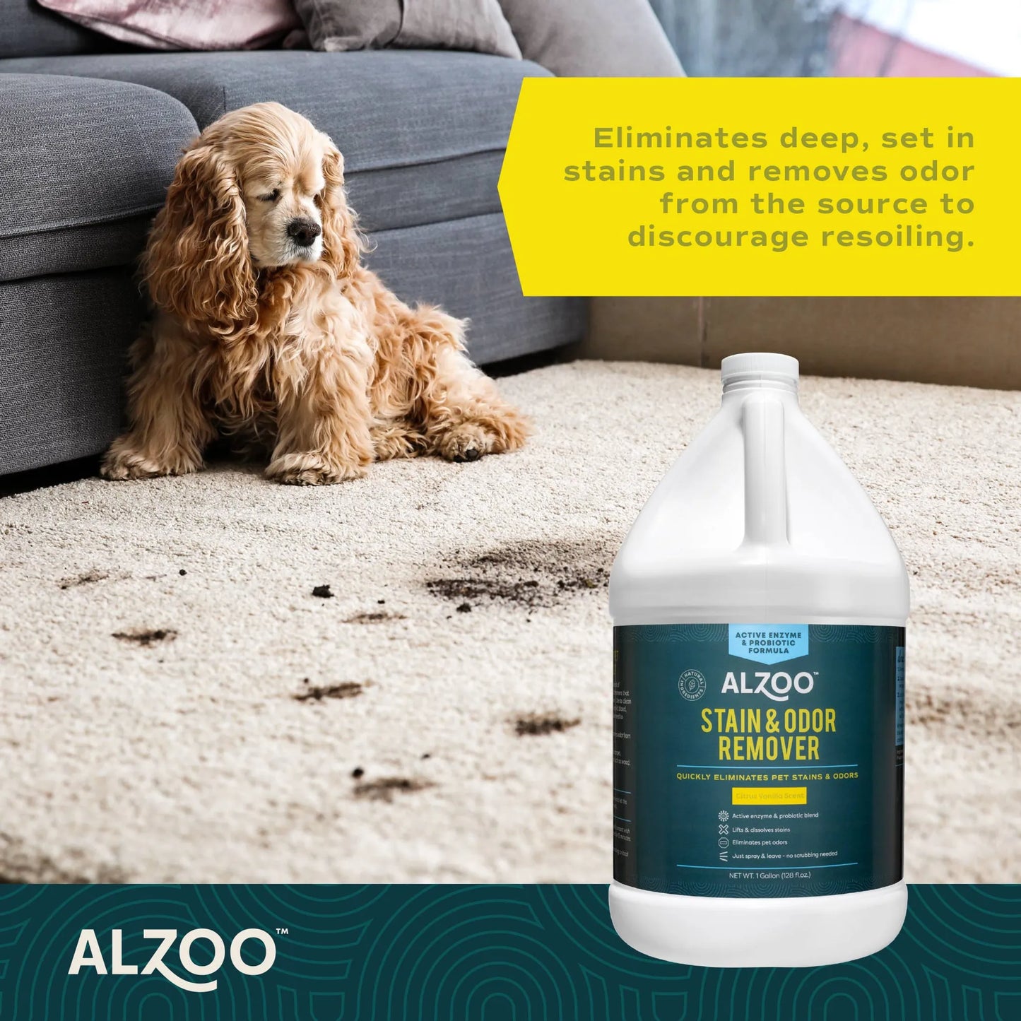 ALZOO Stain & Odor Remover 32oz