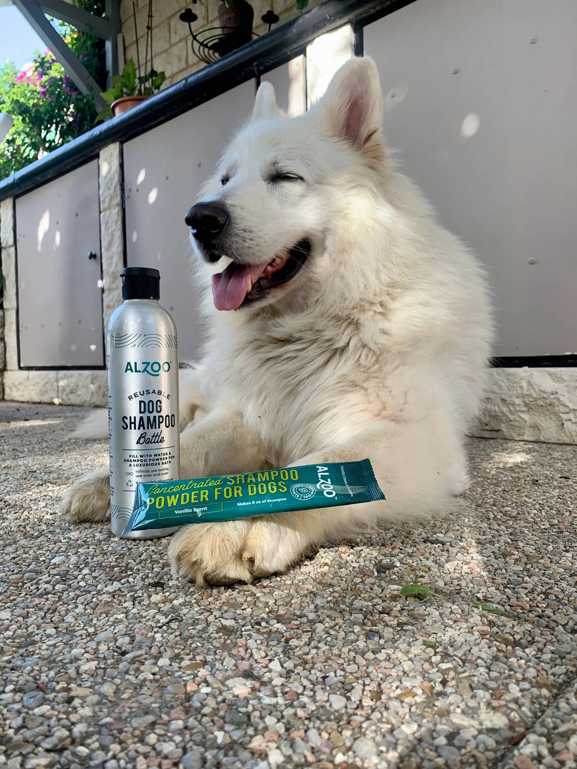 ALZOO Concentrated Shampoo Powder Pouch, Sensitive Skin - Your Pet Connection