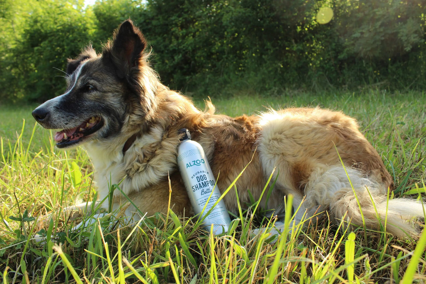 Alzoo Reusabel Aluminum Bottle, 16oz - Your Pet Connection