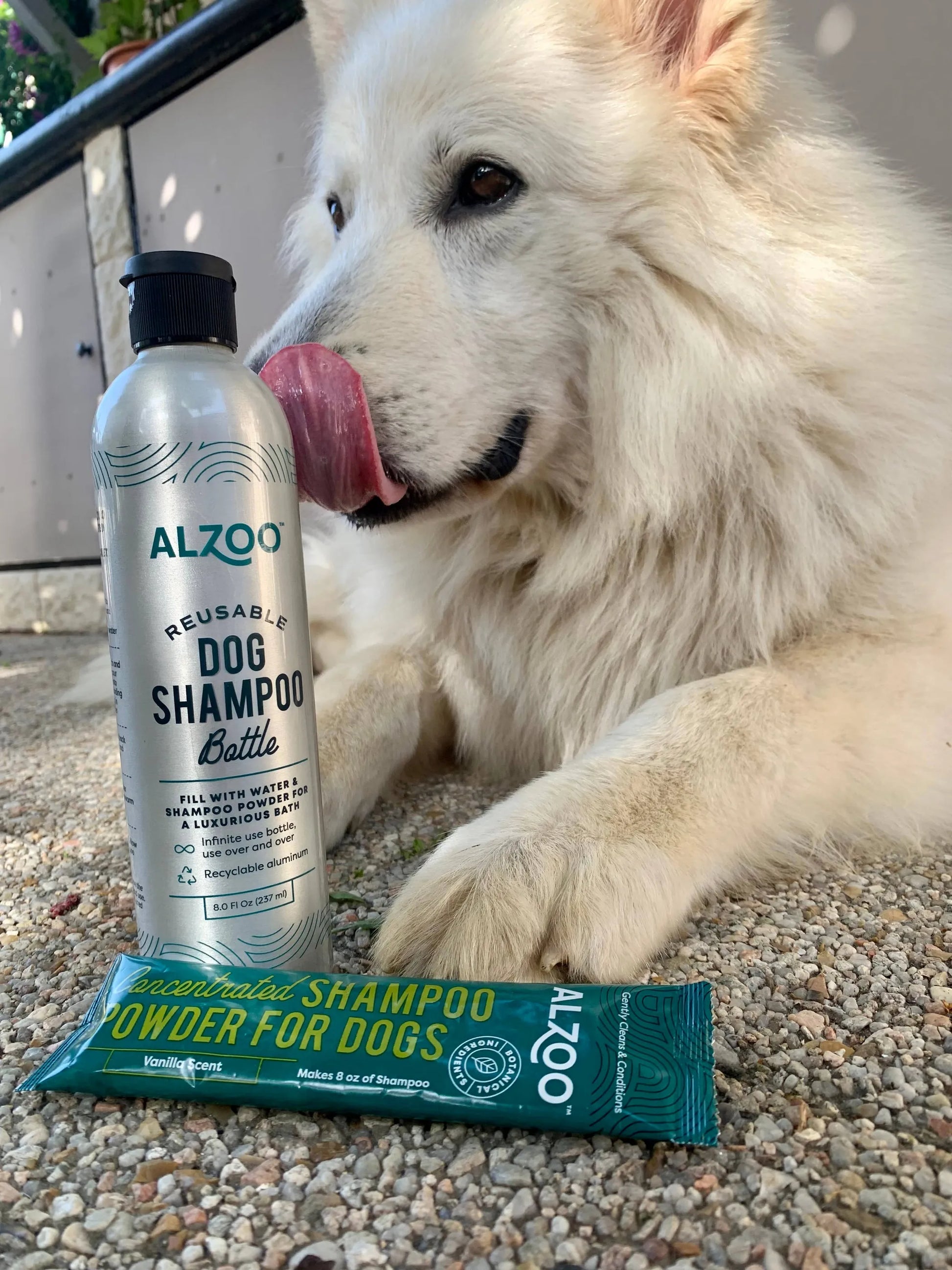 Alzoo Reusabel Aluminum Bottle, 16oz - Your Pet Connection