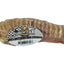ChewMax Pet Products All-Natural Beef Trachea Bone 6 Inch