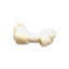 Natural Knotted Bone