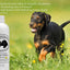 BarkLogic Aloe & Flaxseed Deodorizing Shampoo - Your Pet Connection
