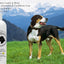 BarkLogic Aloe & Flaxseed Deodorizing Conditioner - Your Pet Connection