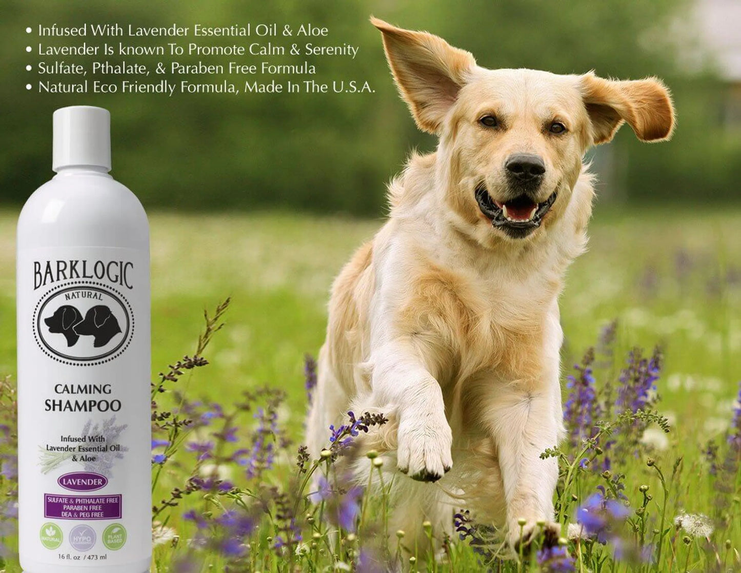 Copy the exact, literal content of Logic Products Calming Lavender Dog Shampoo 16oz into this field without changes.