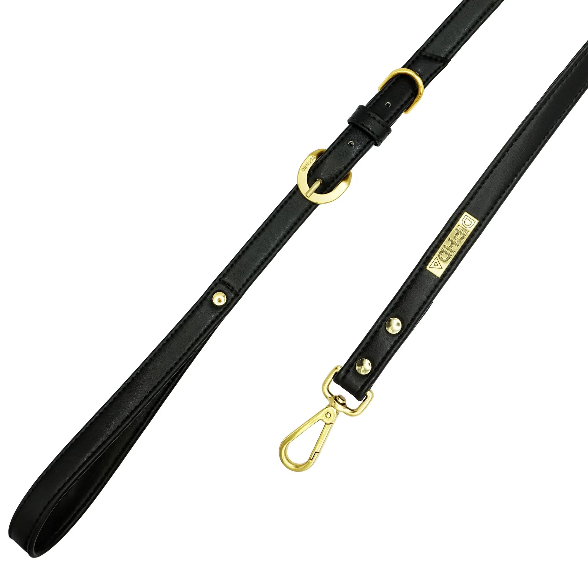 Jet Cactus Leash - Your Pet Connection