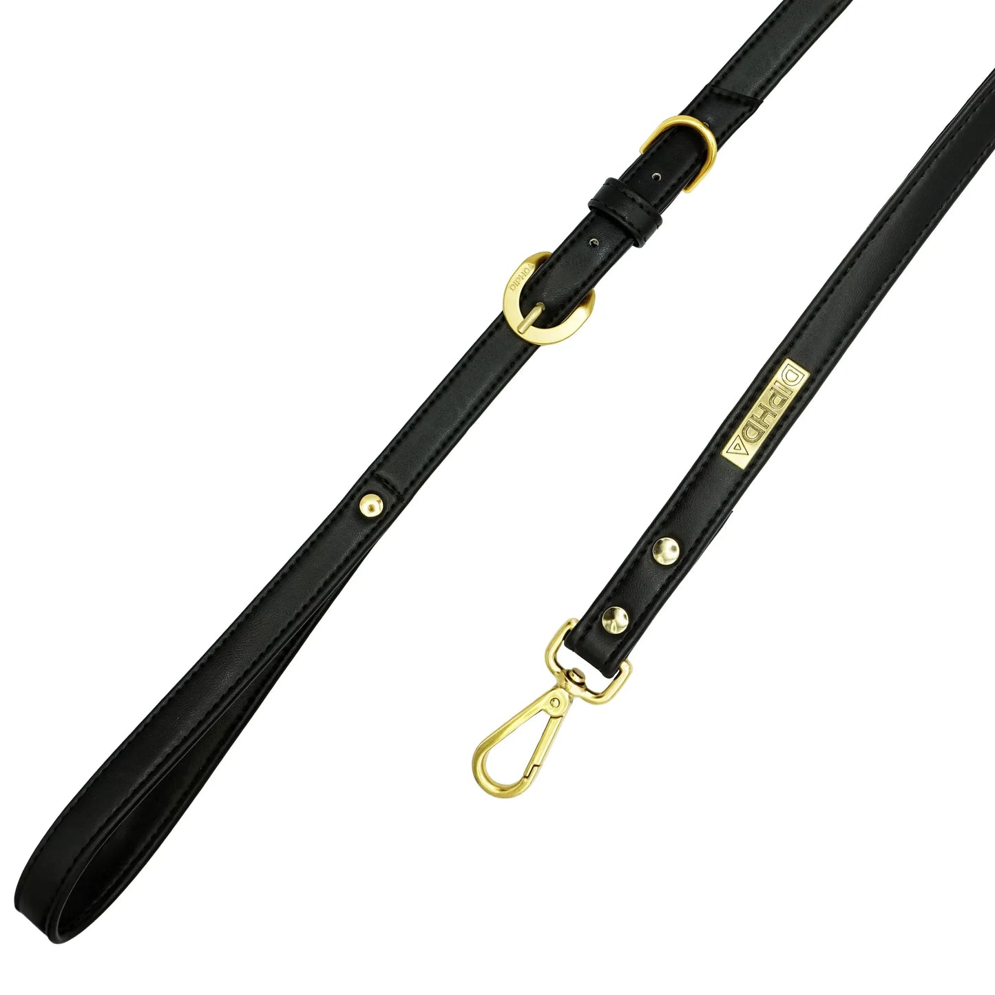 Jet Cactus Leash - Your Pet Connection