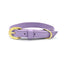 Lavender Cactus Collar - Your Pet Connection