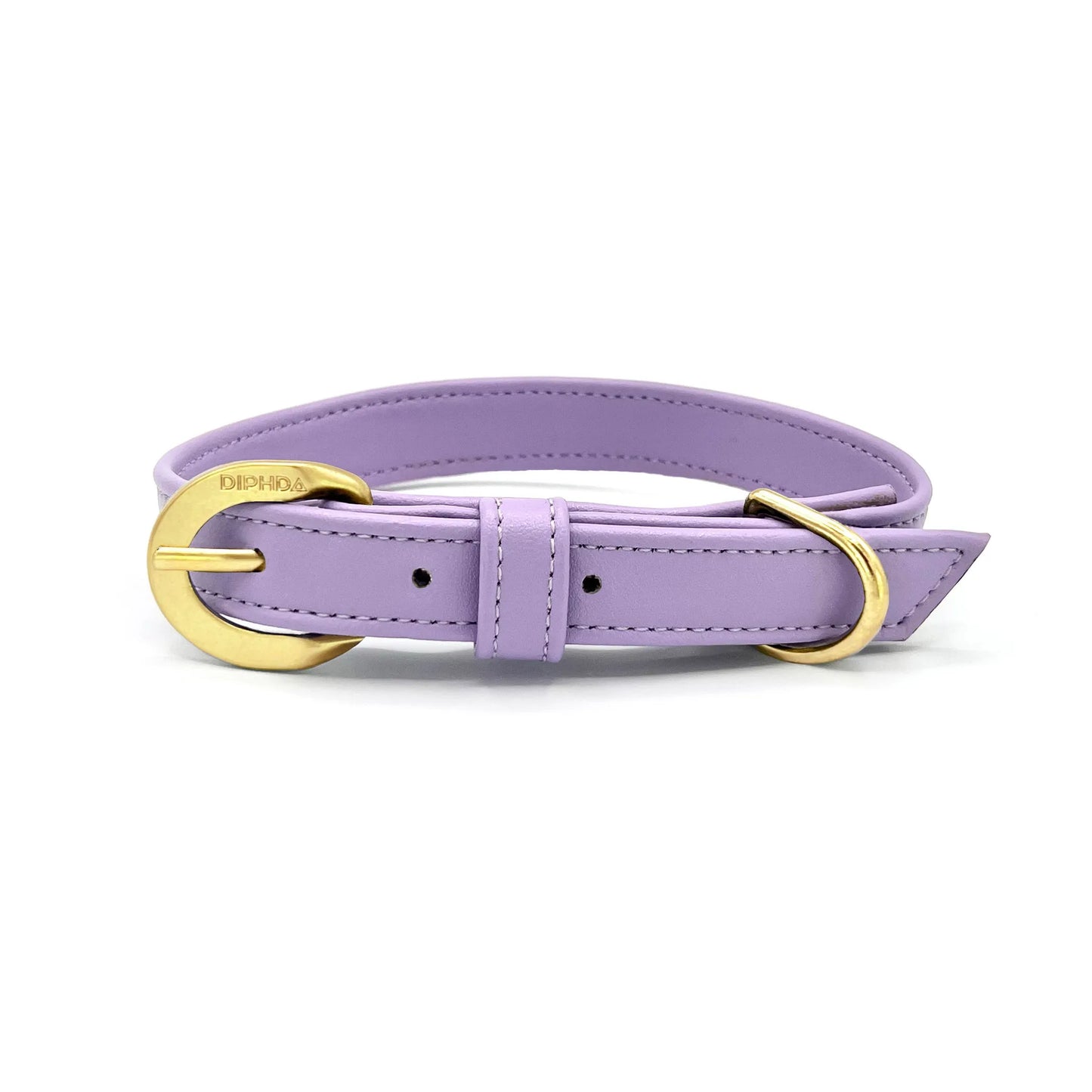 Lavender Cactus Collar - Your Pet Connection