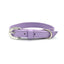 DIPHDA Lavender Cactus Leather Eco-Friendly Dog Collar