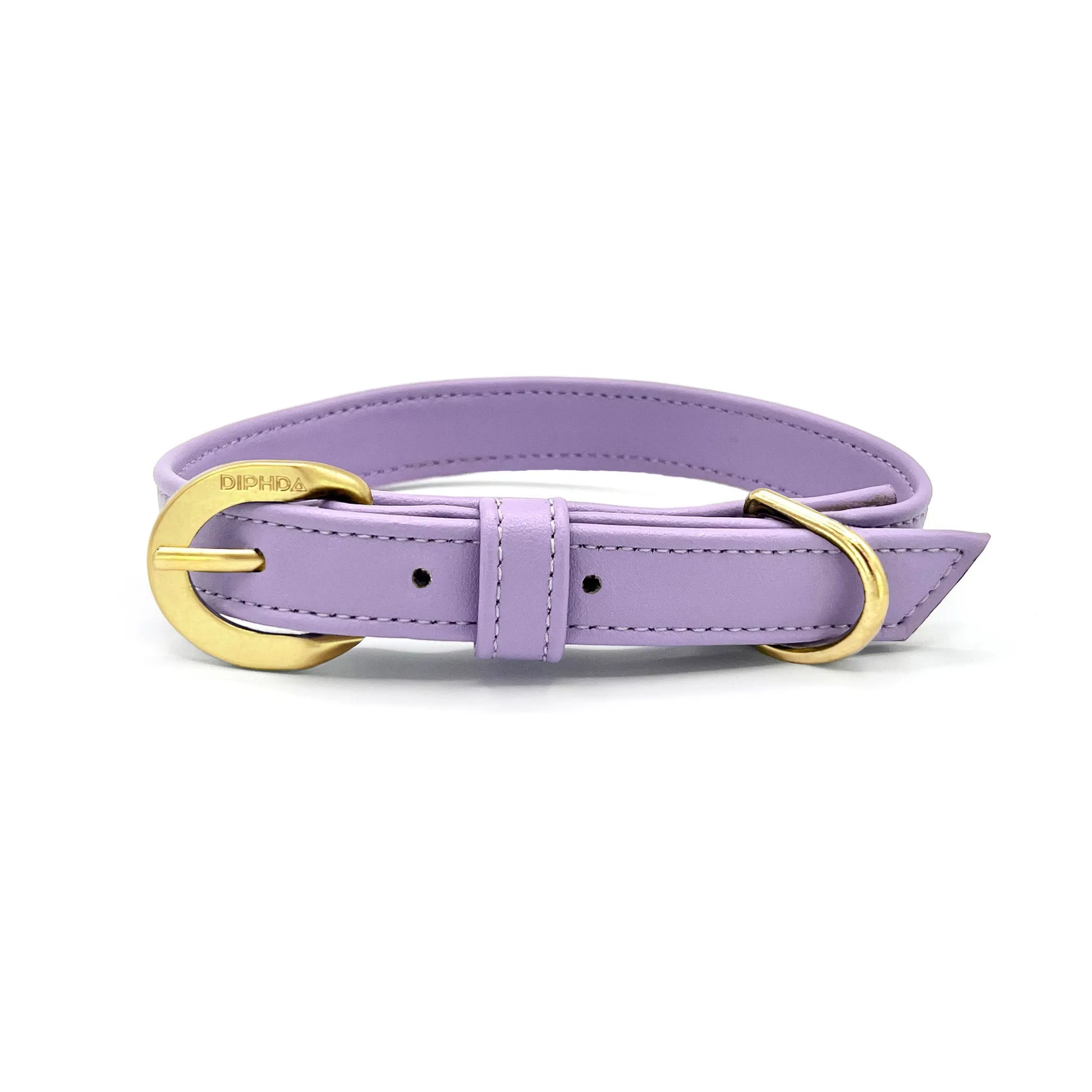 Lavender Cactus Collar - Your Pet Connection